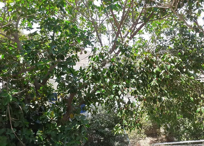 Marbil Irida Appartement Mérichas